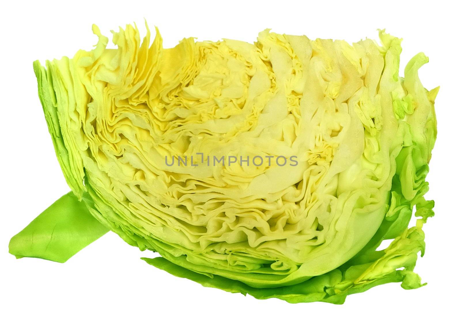 part of fresh head of cabbage with a visible underlying structure