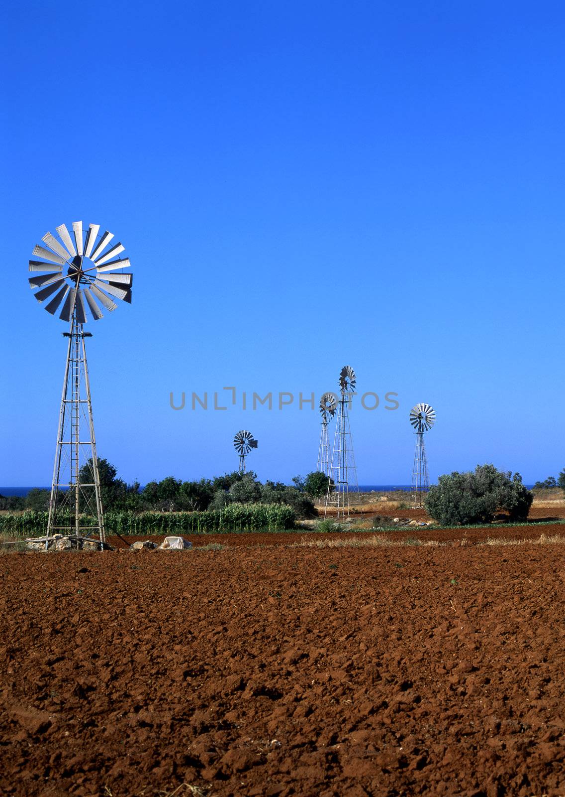 Irrigation windmills pumping water for farmland in Cyprus