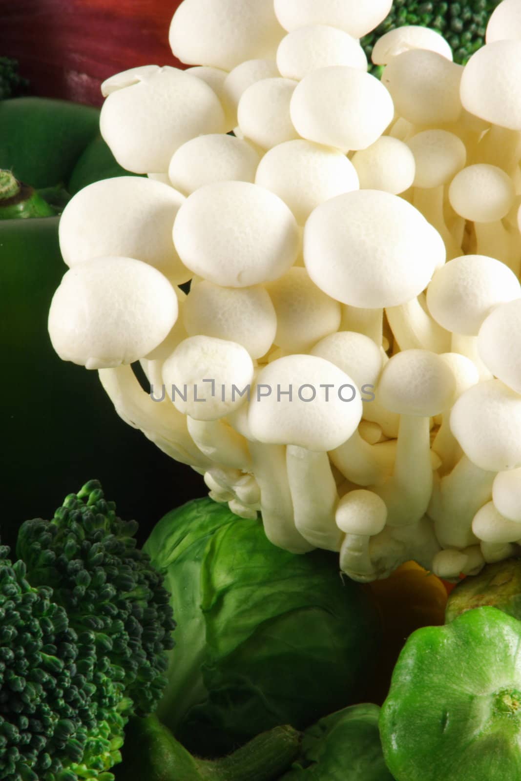 fresh organic mushroom perfect meal companion