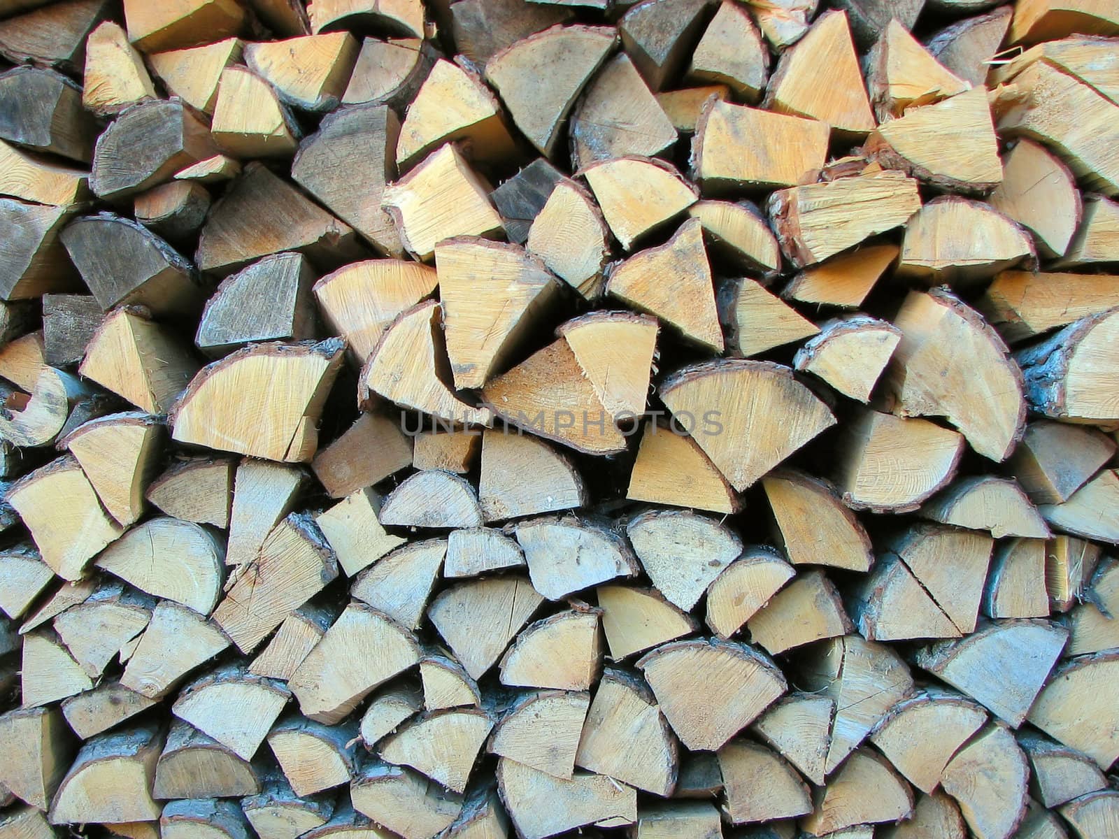 Wood Pile by vadimone
