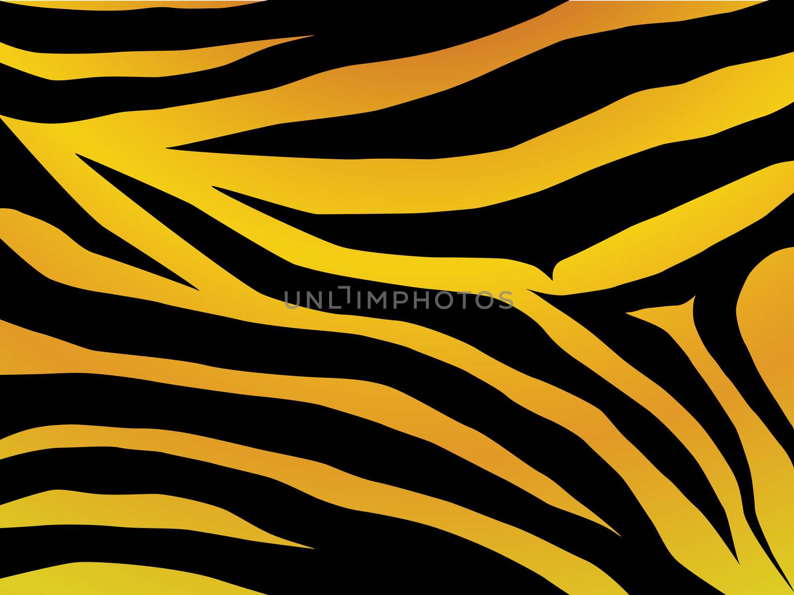 Vector black and orange stripped tiger design