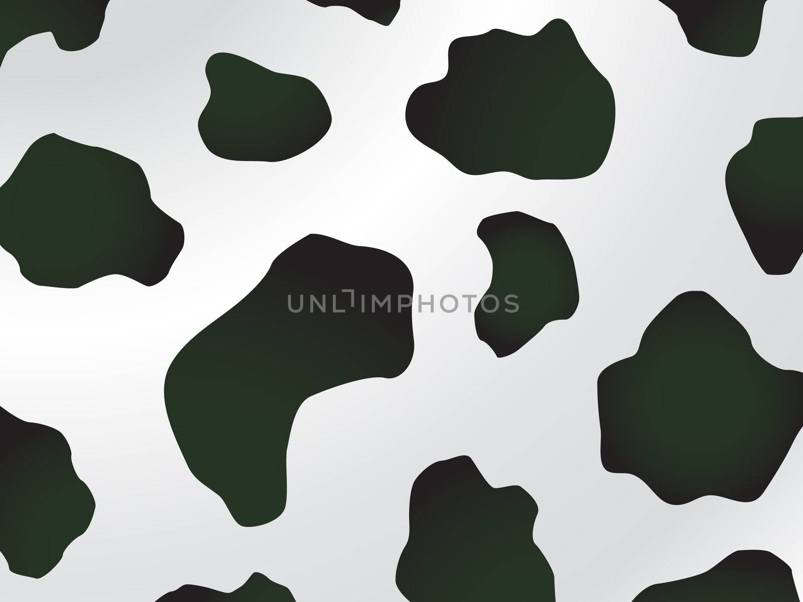Vector black and white spotted cow design