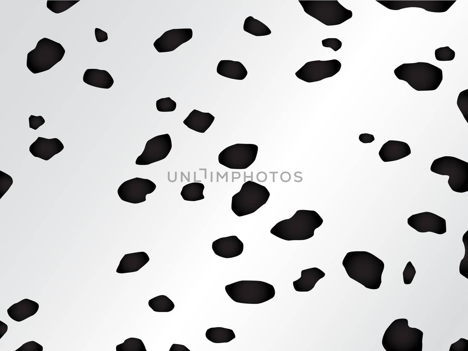 Vector black and white spotted fur of the dalmatian