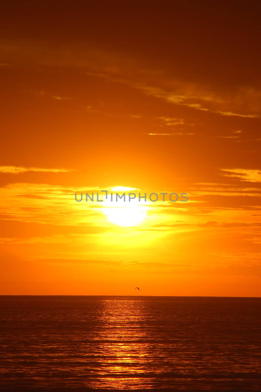 Orange sunset over the Pacific Ocean in California with the major part of the shot featuring the sky and a small amount of the sun reflected in the ocean
