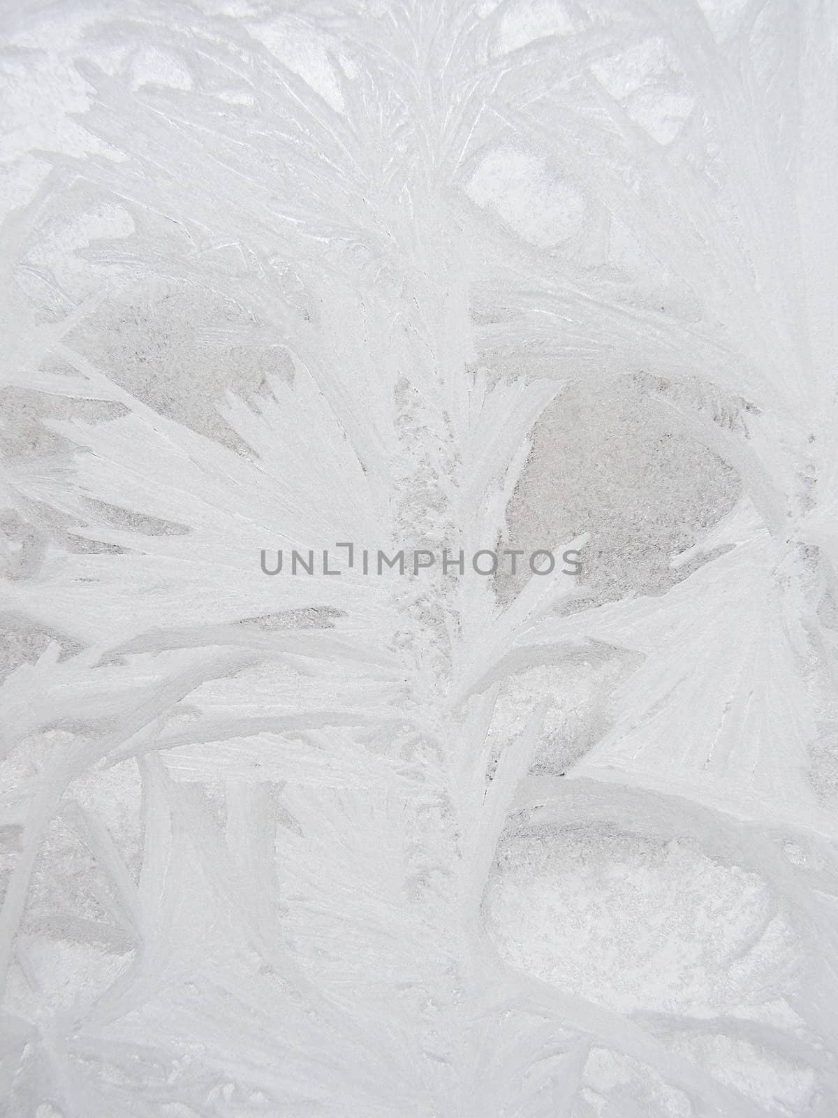 Winter frost window with the ornate crystals