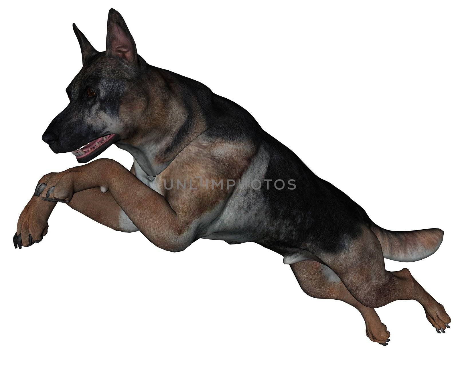 3D rendered German shepherd dog on white background isolated