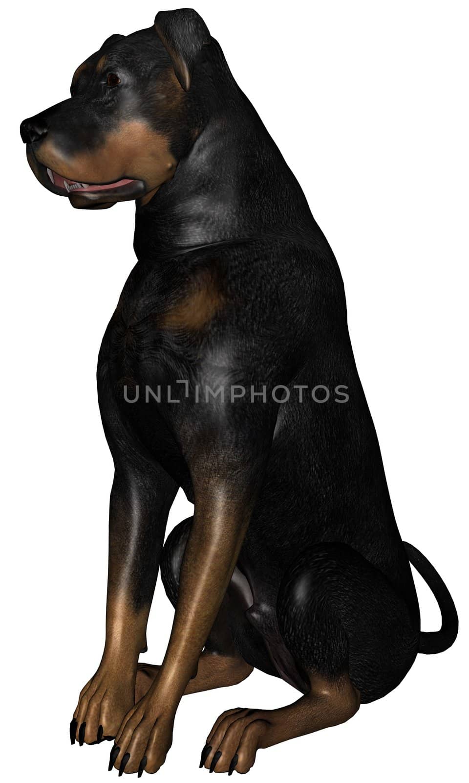 3D rendered rottweiler dog on white background isolated