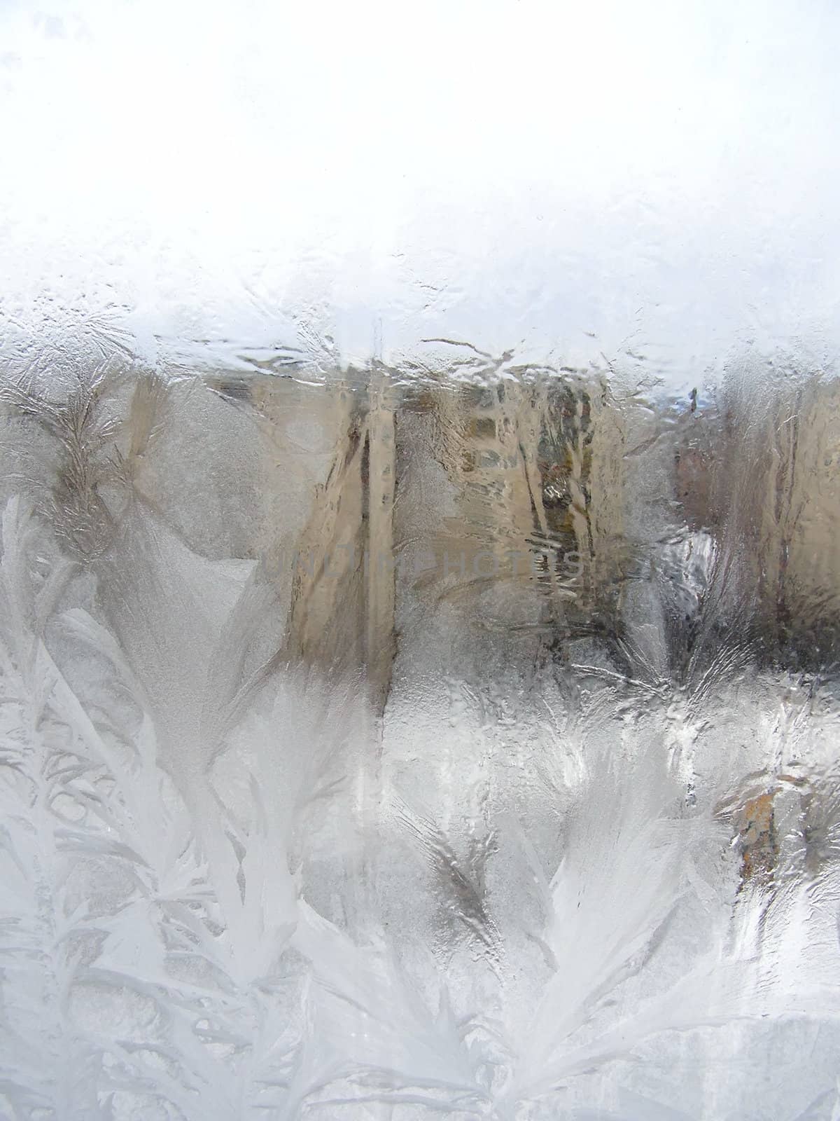 Winter frost window with the ornate crystals