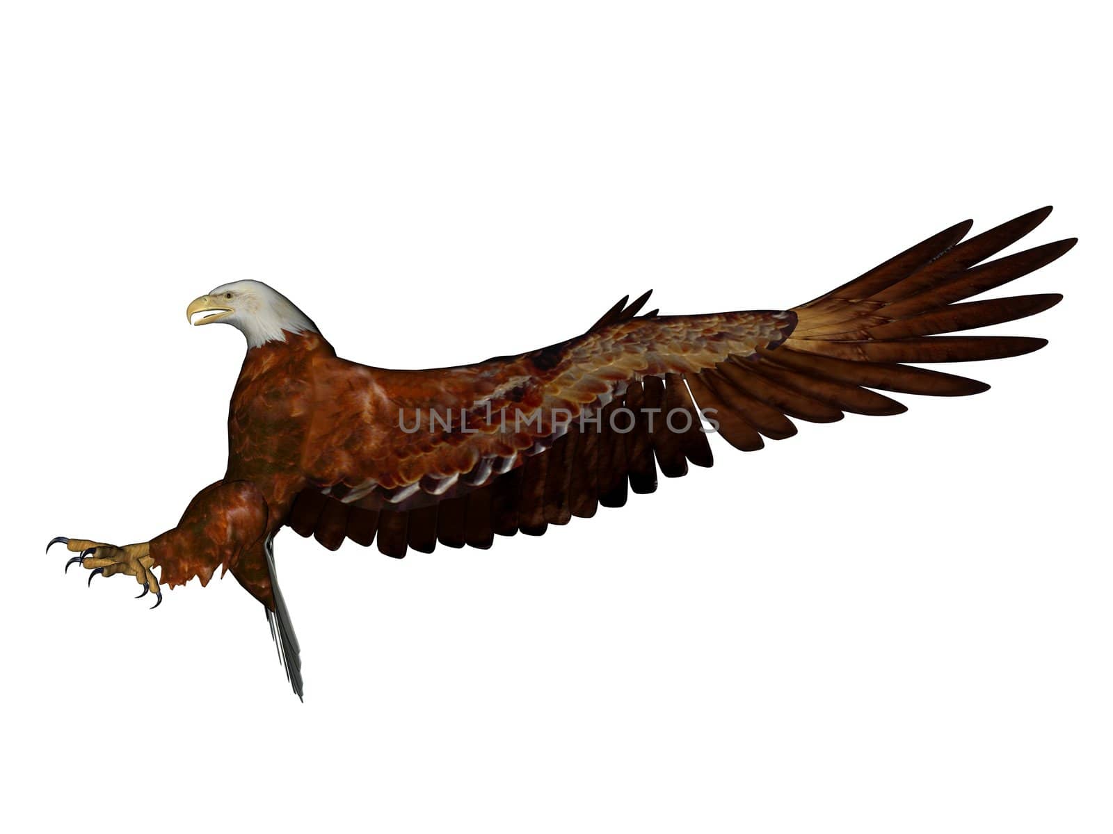 3D rendered eagle on white background isolated