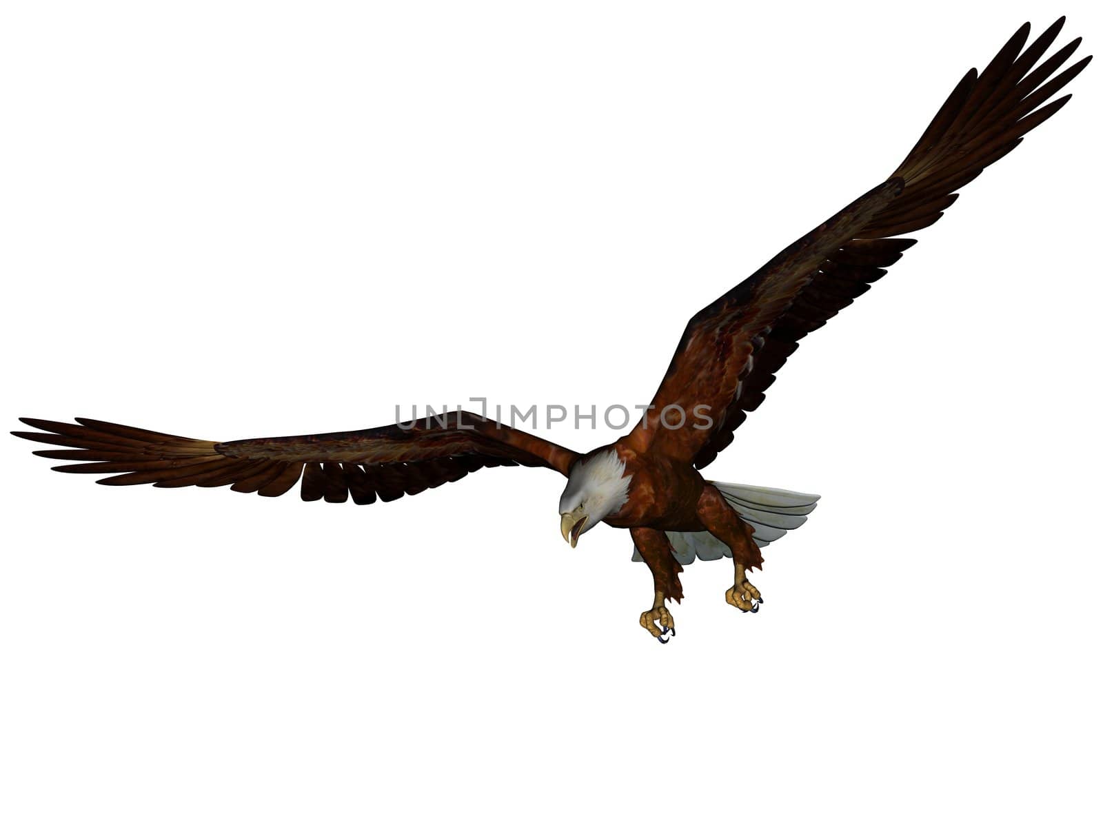 3D rendered eagle on white background isolated