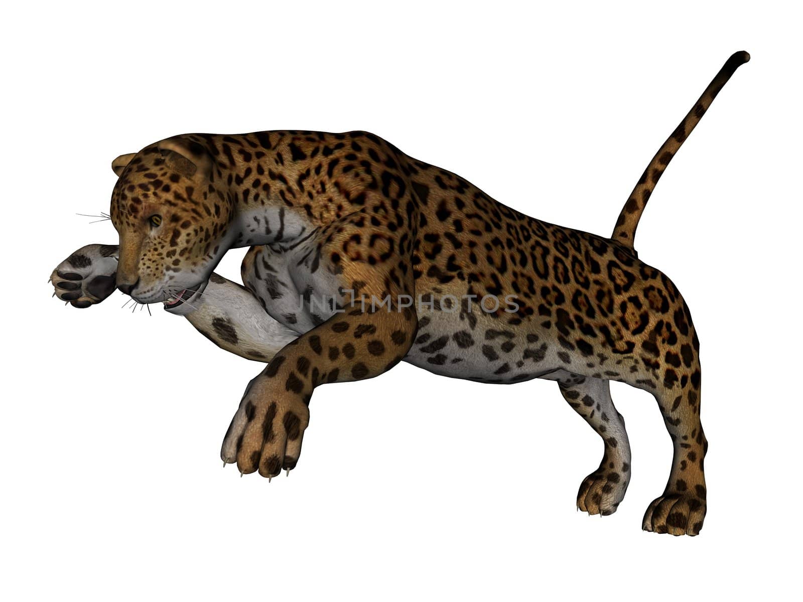3D rendered jaguar on white background isolated