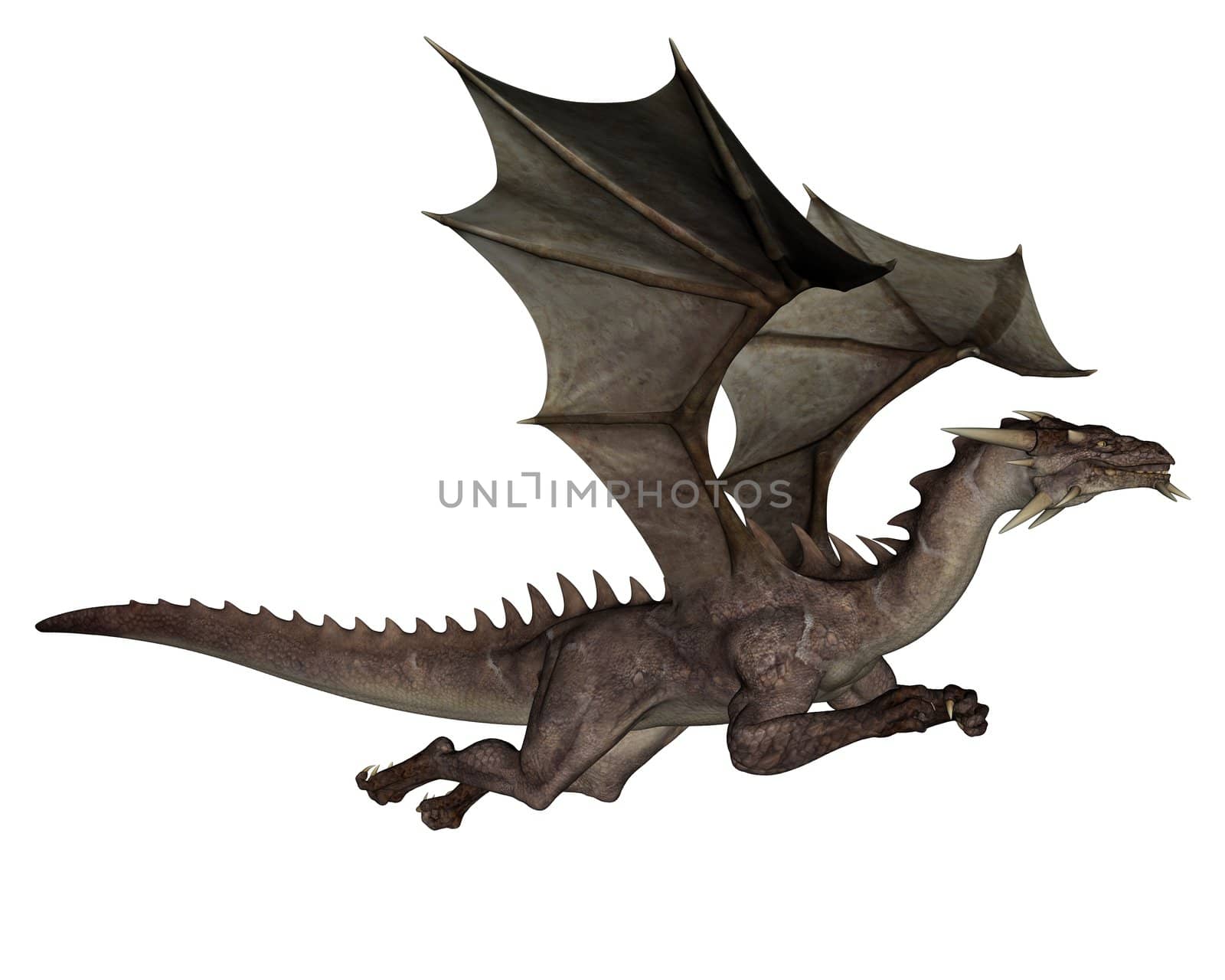 3D rendered flying dragon isolated on white background