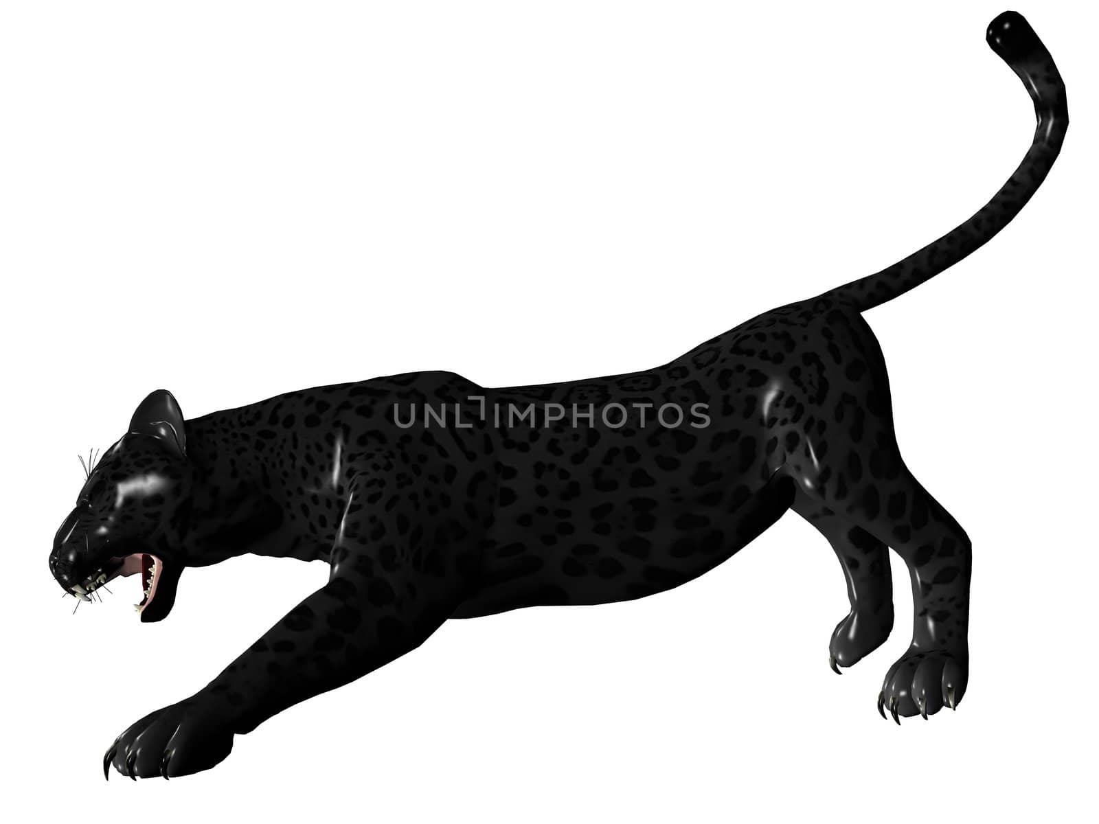 3D rendered image of Black panther on white background an isolated