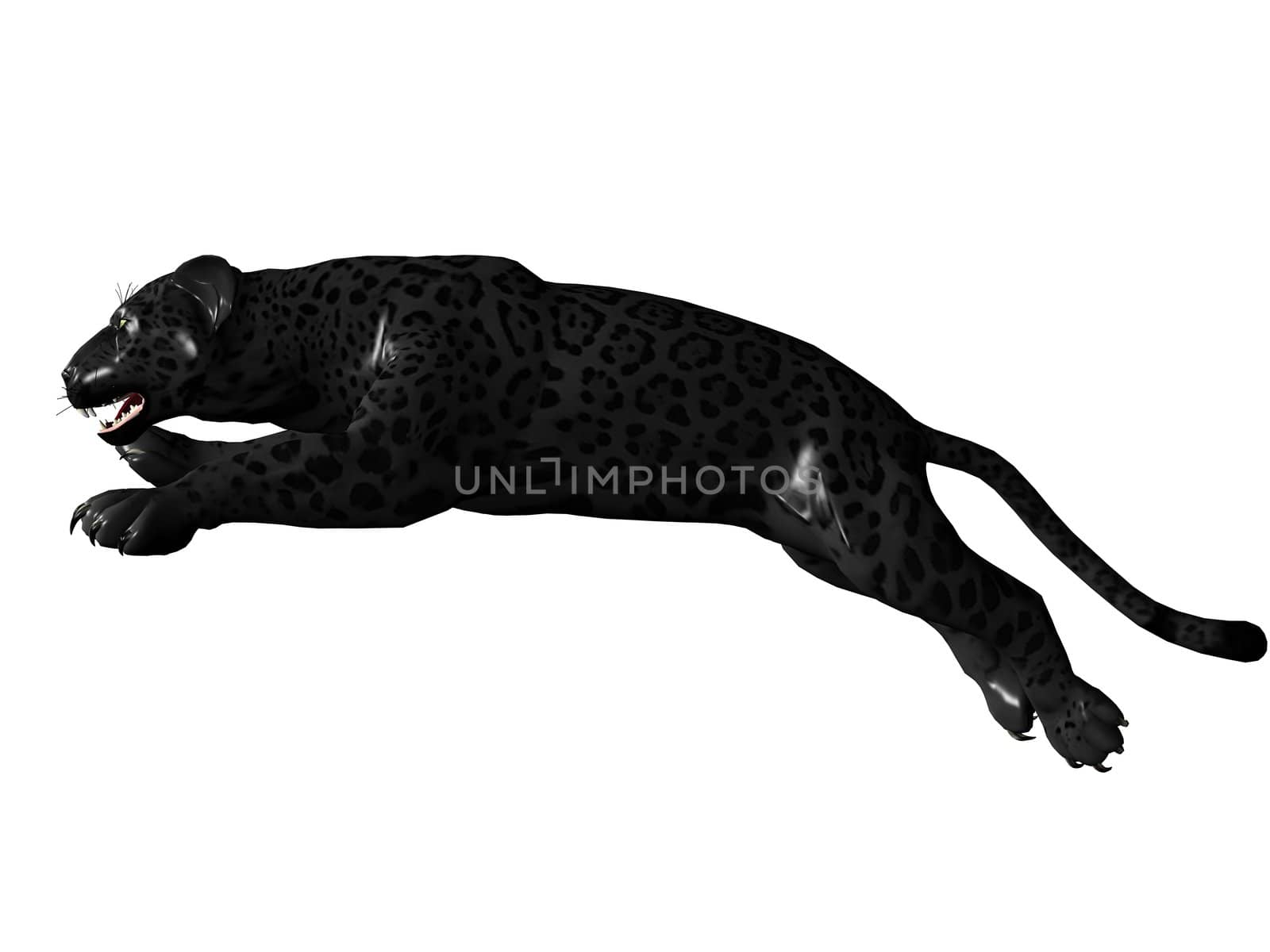 3D rendered image of Black panther on white background an isolated