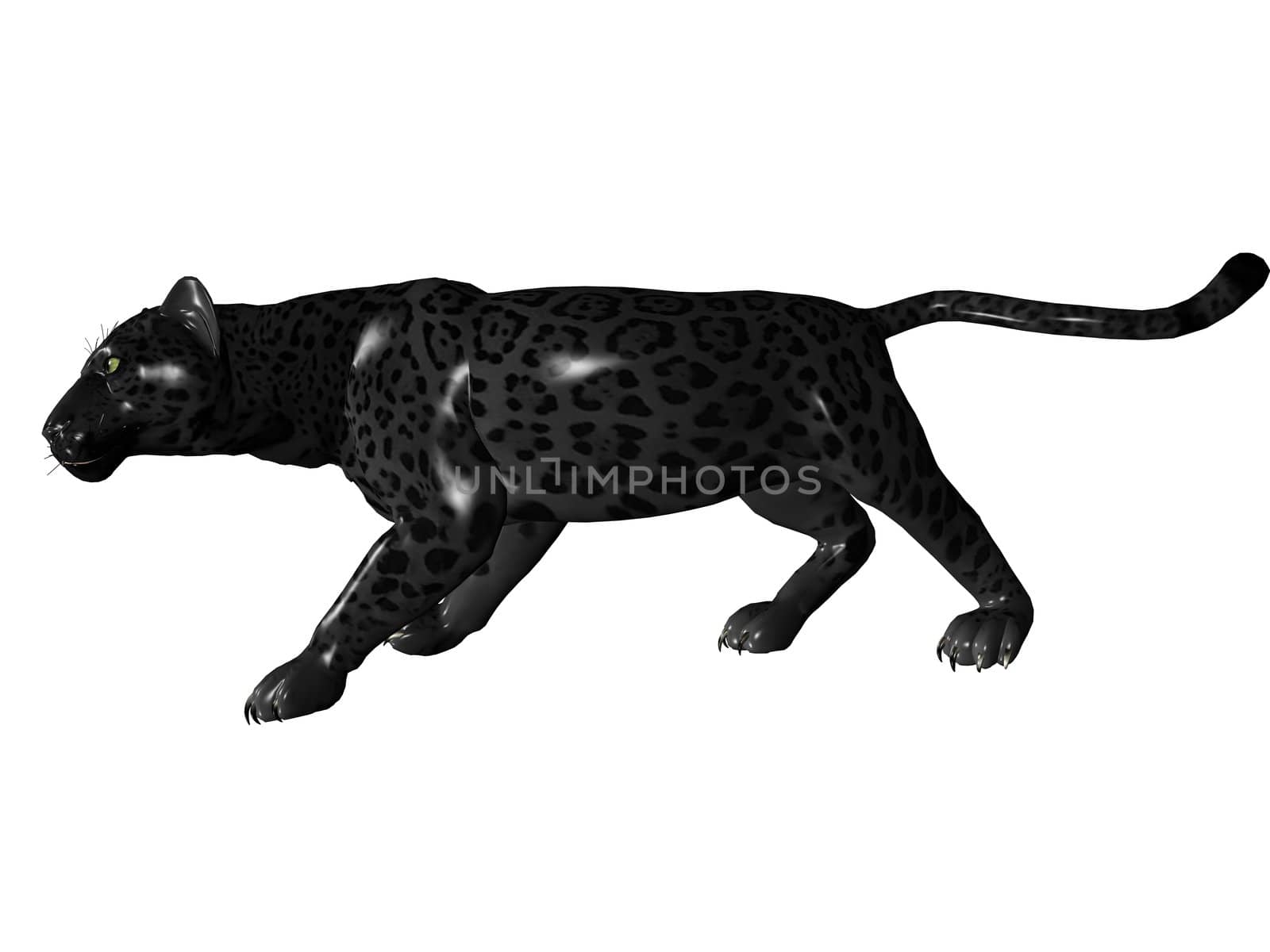 3D rendered image of Black panther on white background an isolated