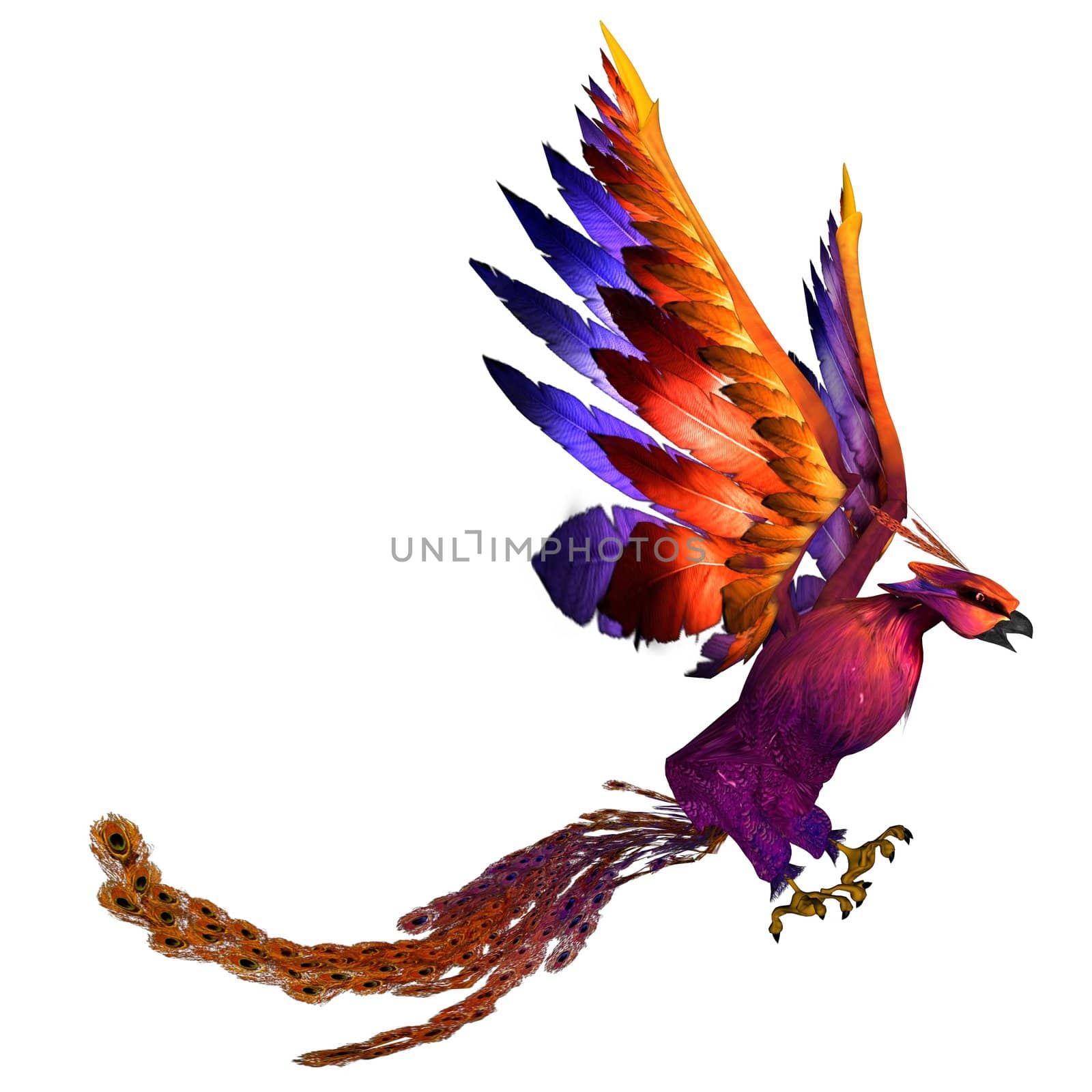 3D rendered fantasy phoenix bird on white background isolated