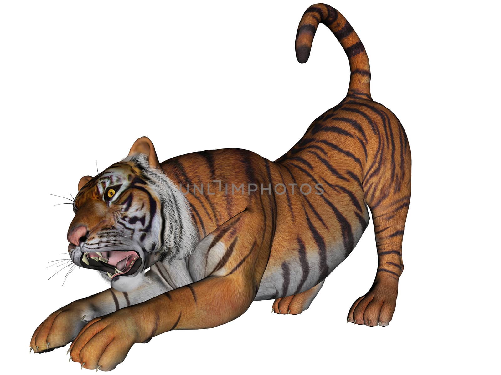 3D rendered tiger on white background isolated