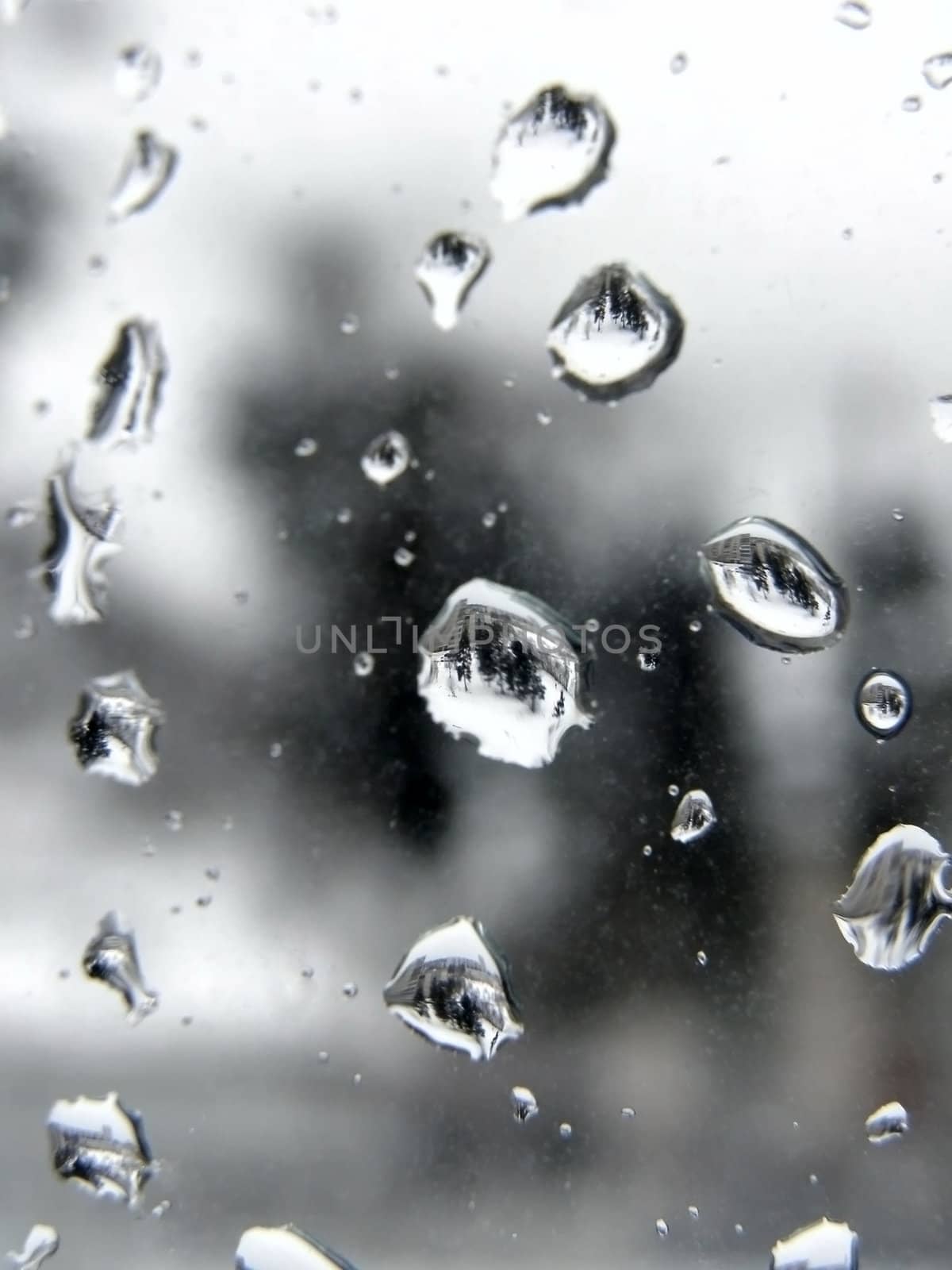 Many rain drops at the window glass