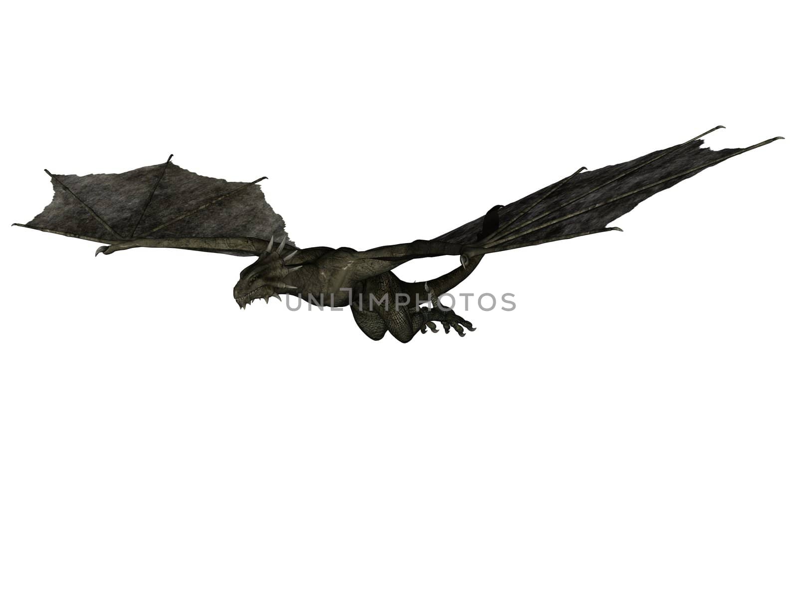 3D rendered fantasy wyvern on white background isolated.
