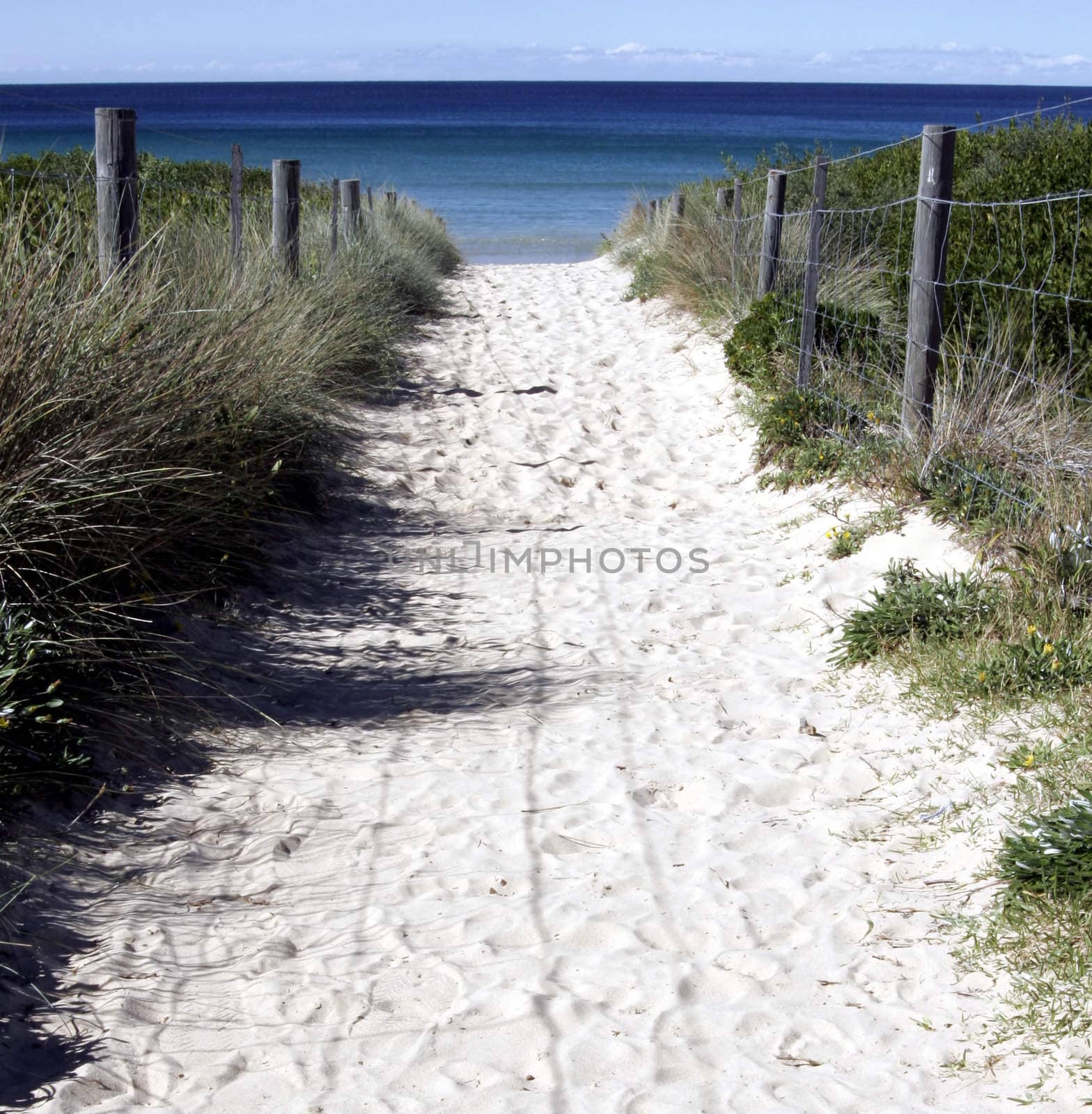 Sandy Path to the Beach by thorsten