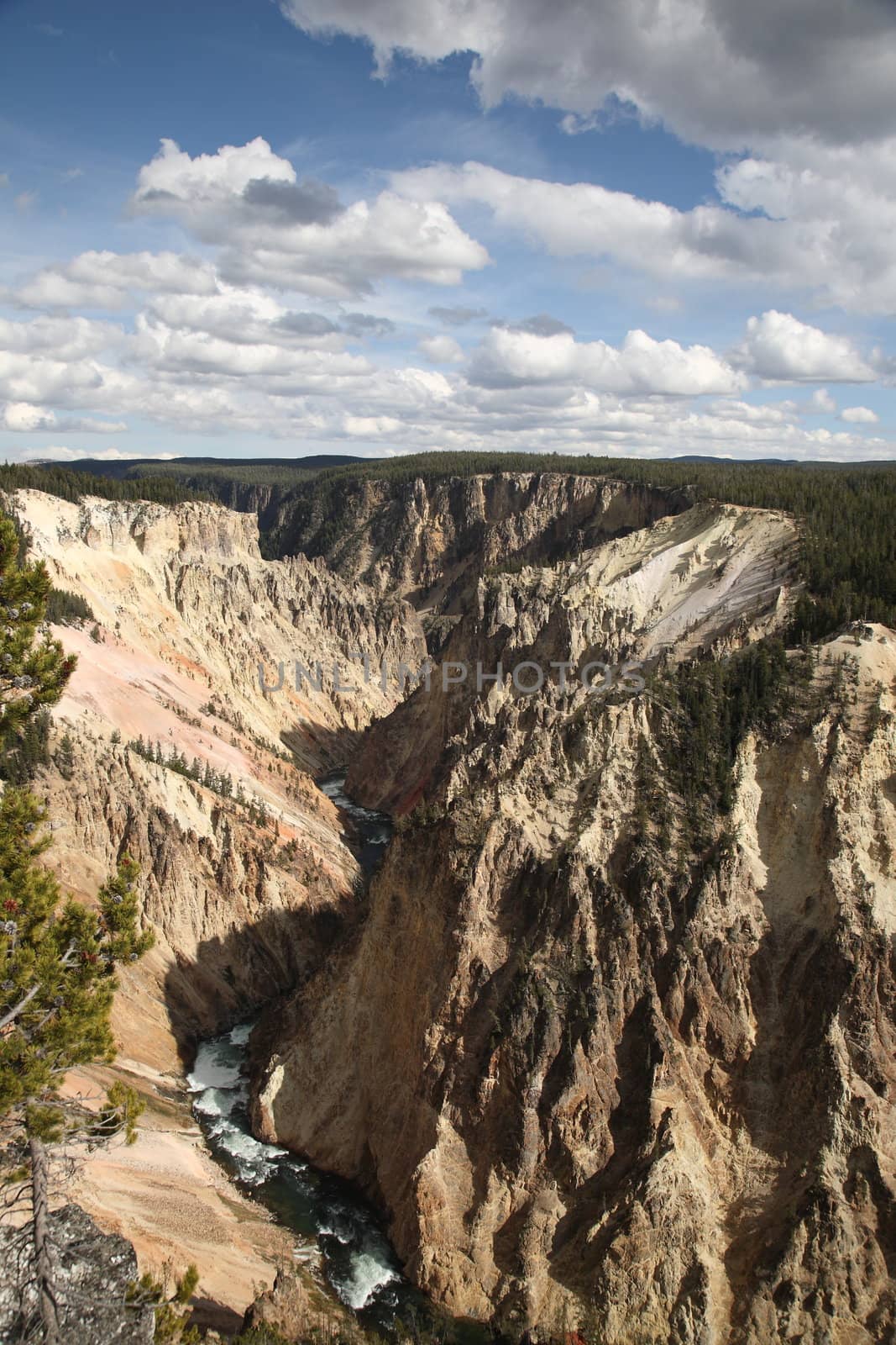 Landmark view of river and cliffs in Yellowstone National Park