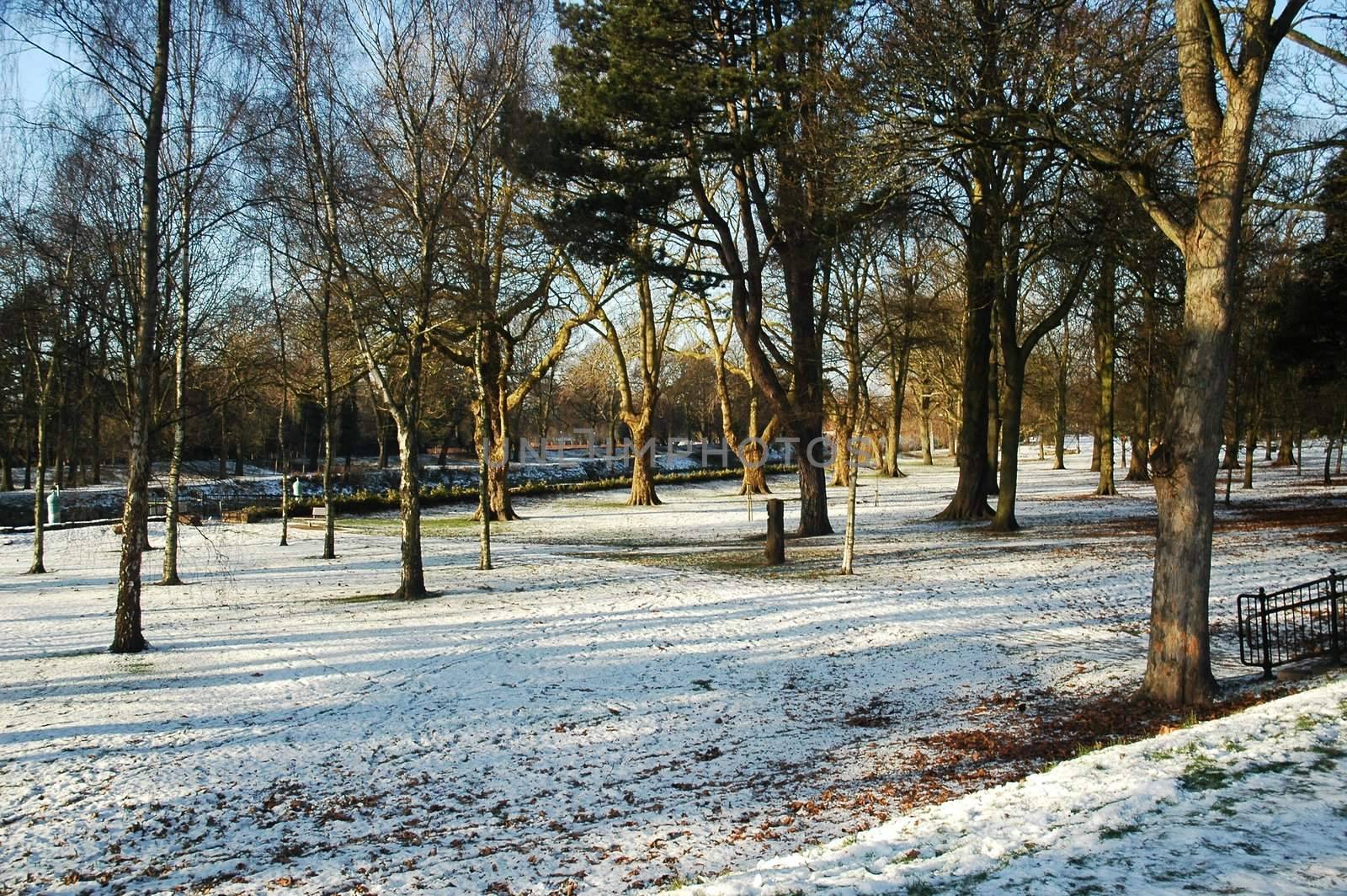 Cardiff park by lehnerda