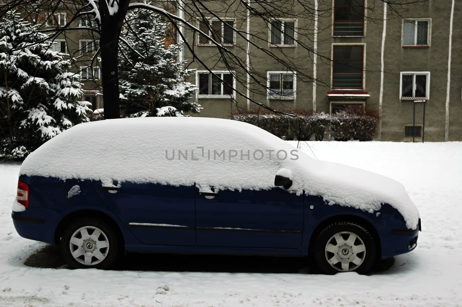 blue, by snow covered car, horizontally framed shot