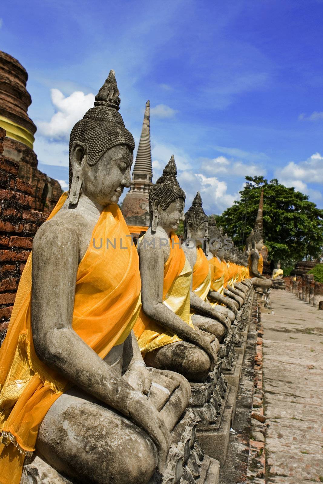 Aligned statues of Buddha in Ayutthaya, Thailand
