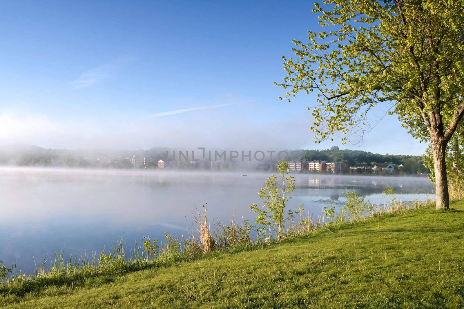 Lake shore in the morning with mist
