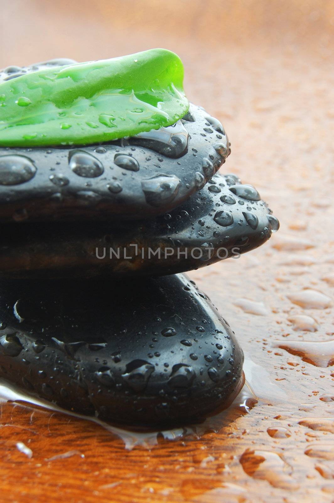 zen concept with stones and leaves by gunnar3000