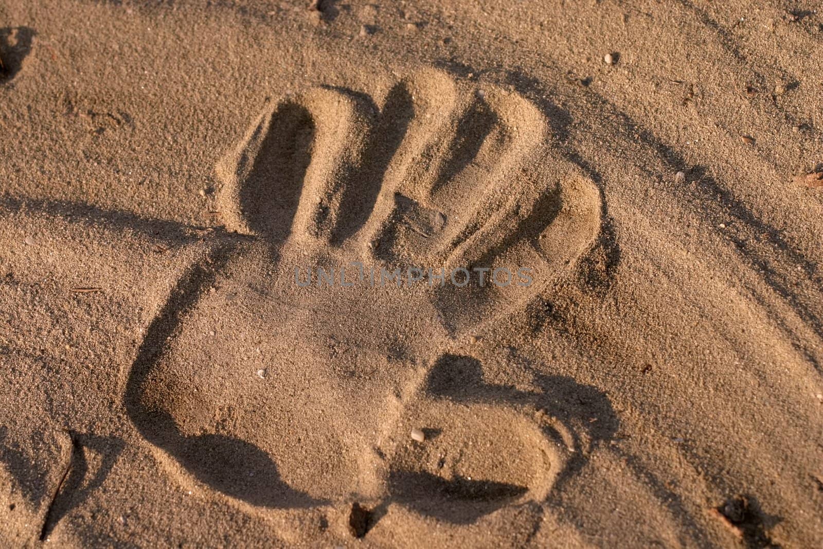 Hand print in sand with low sun