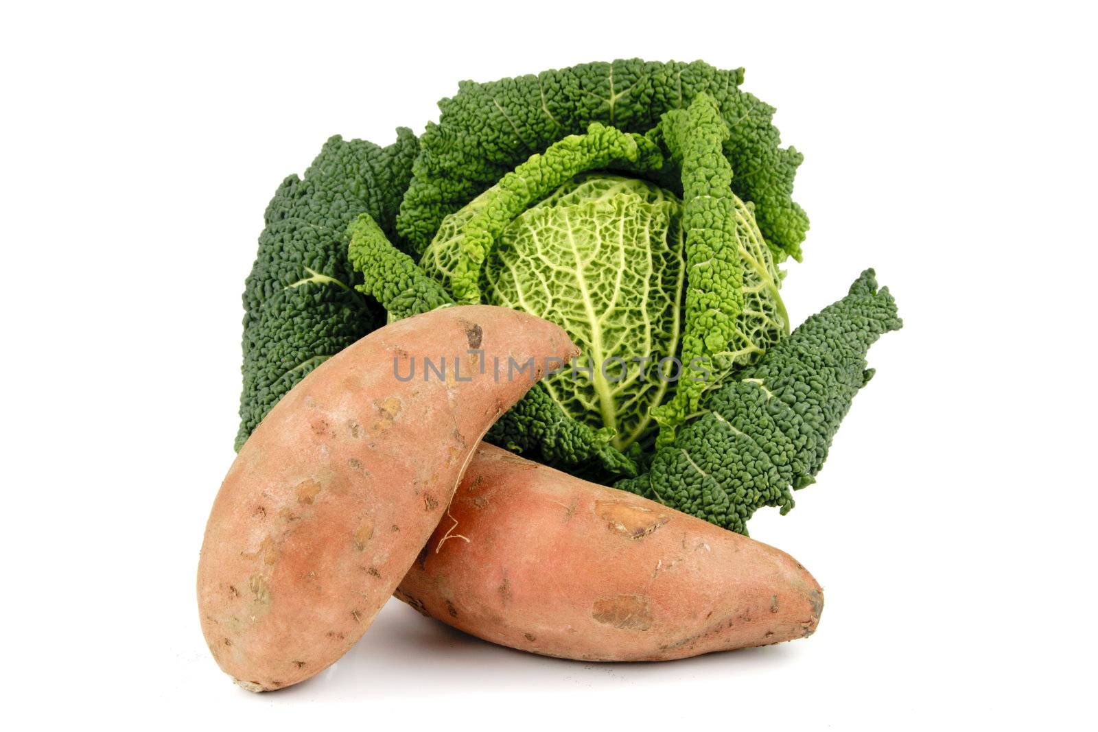 Single green cabbage with two pink sweet potatoes on a reflective white background