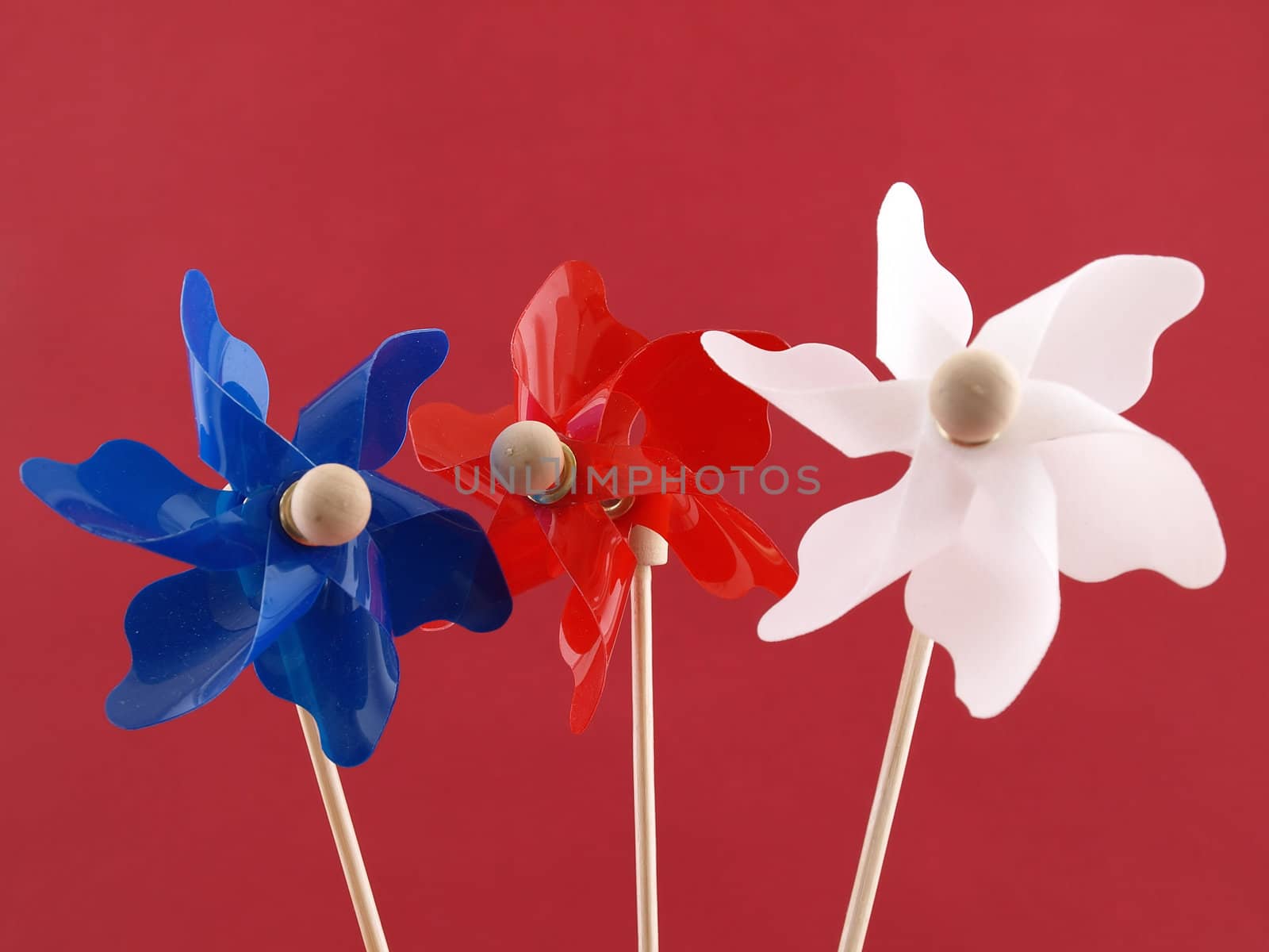 Patriotic Pinwheels by RGebbiePhoto