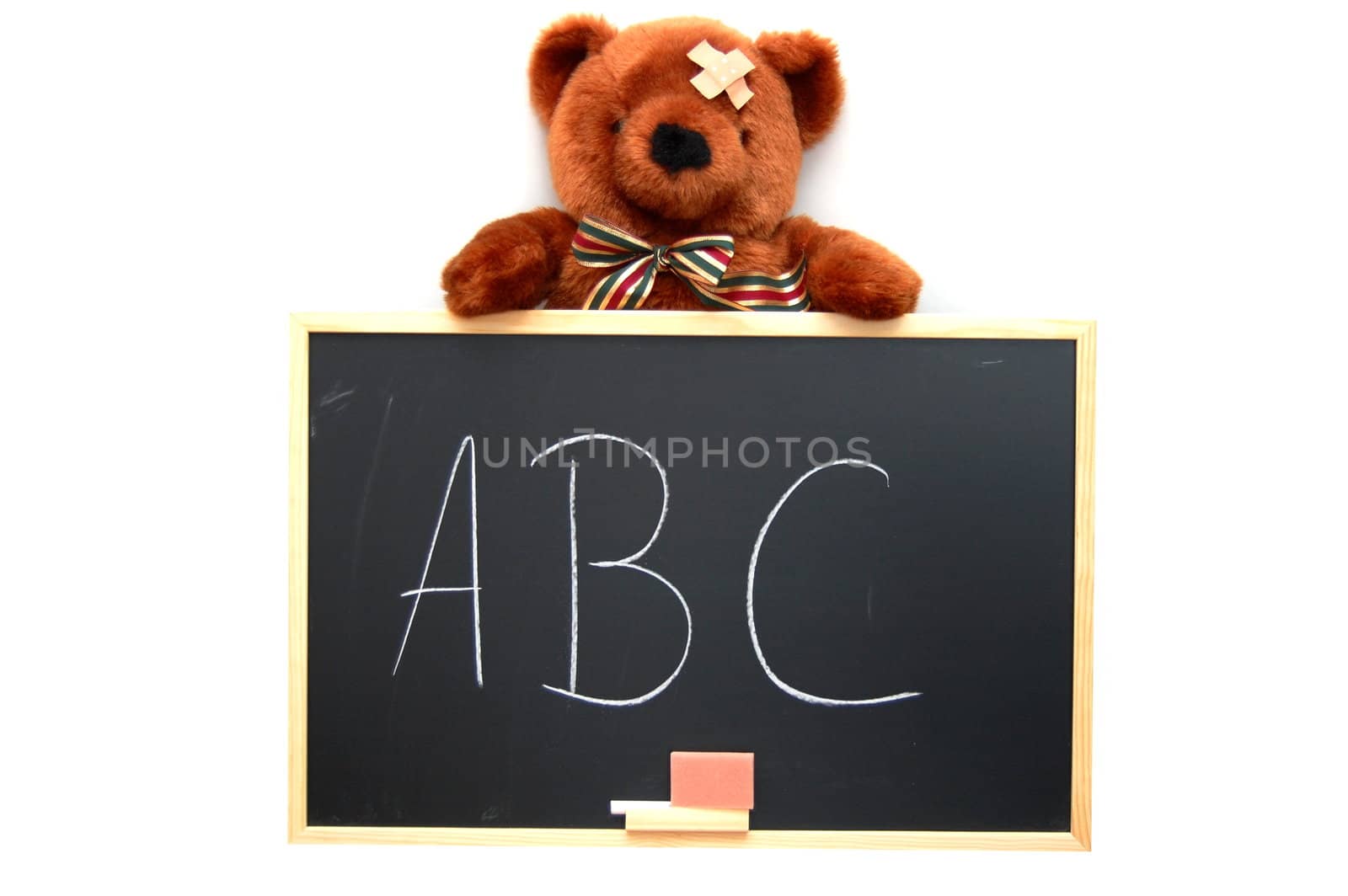 teddy with blackboard isolated on white background