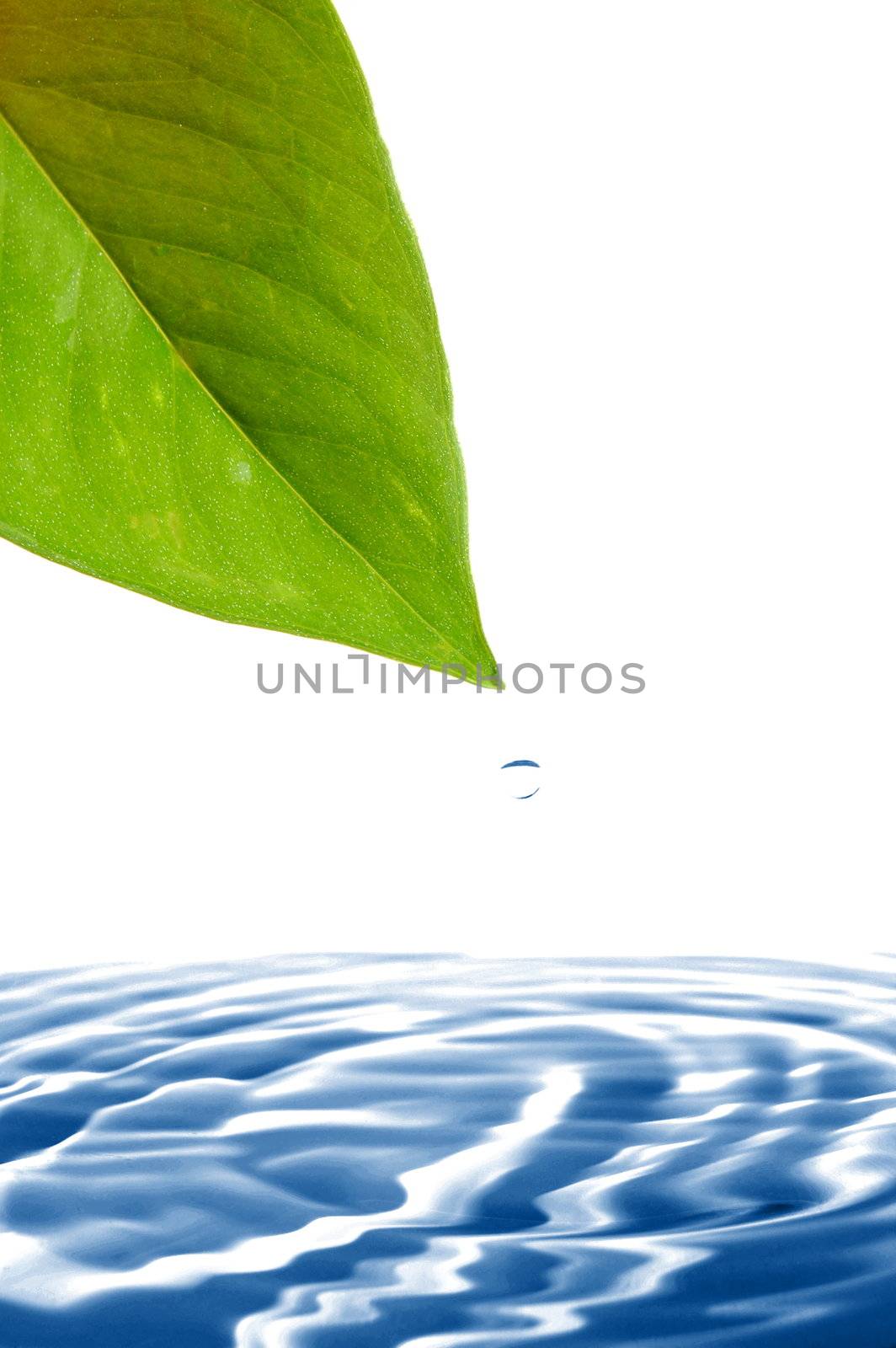leaf and water drop showing healthy lifestyle