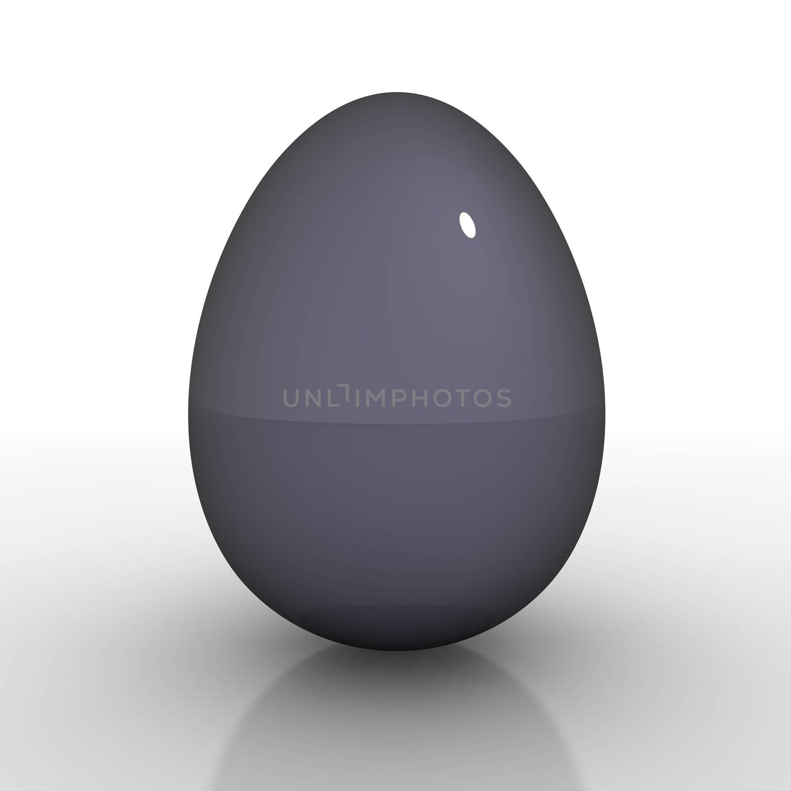 a single shiny egg with black/anthracite colour