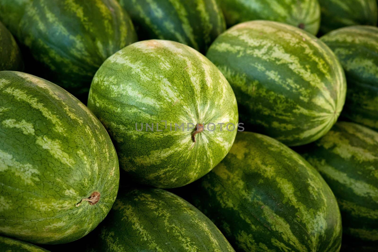 Close-up image of several watermelons