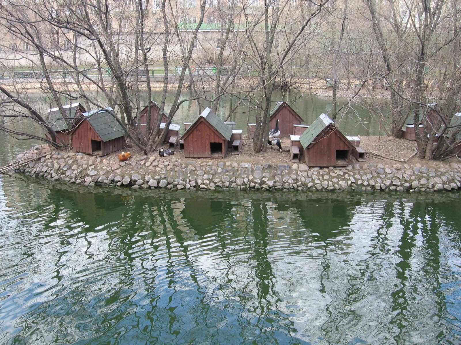 Duck houses near the pond by tomatto