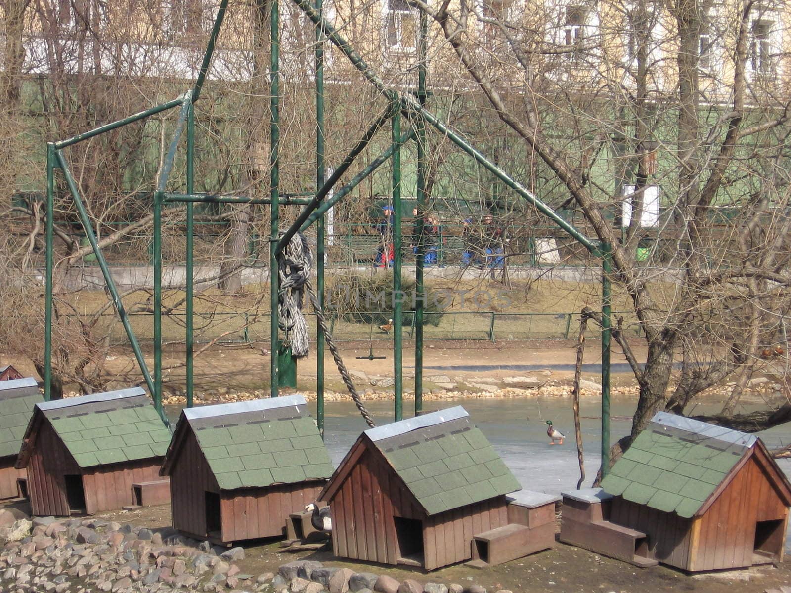 Cute duck houses on the island in Moscow zoo