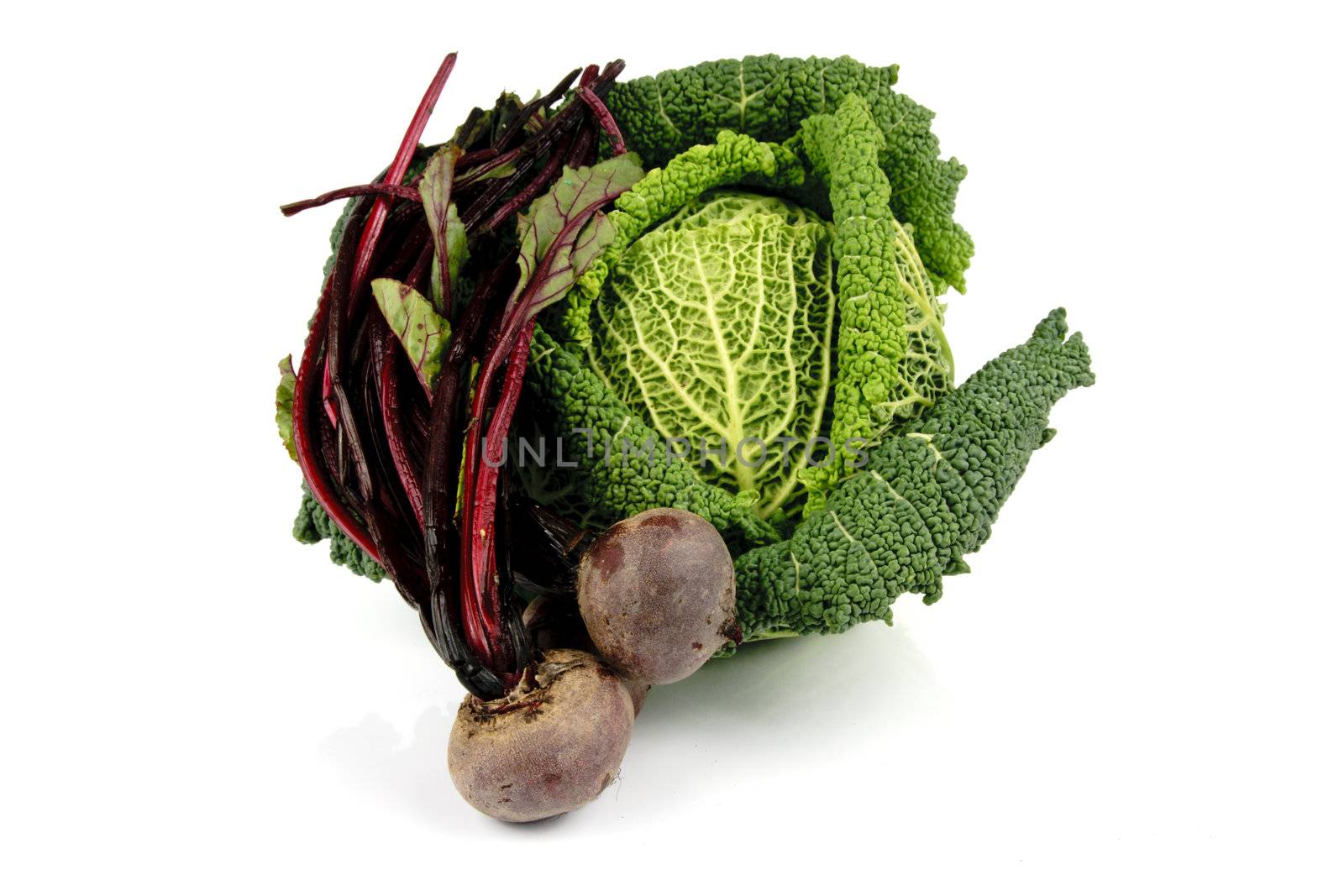 Single green cabbage on a reflective white background