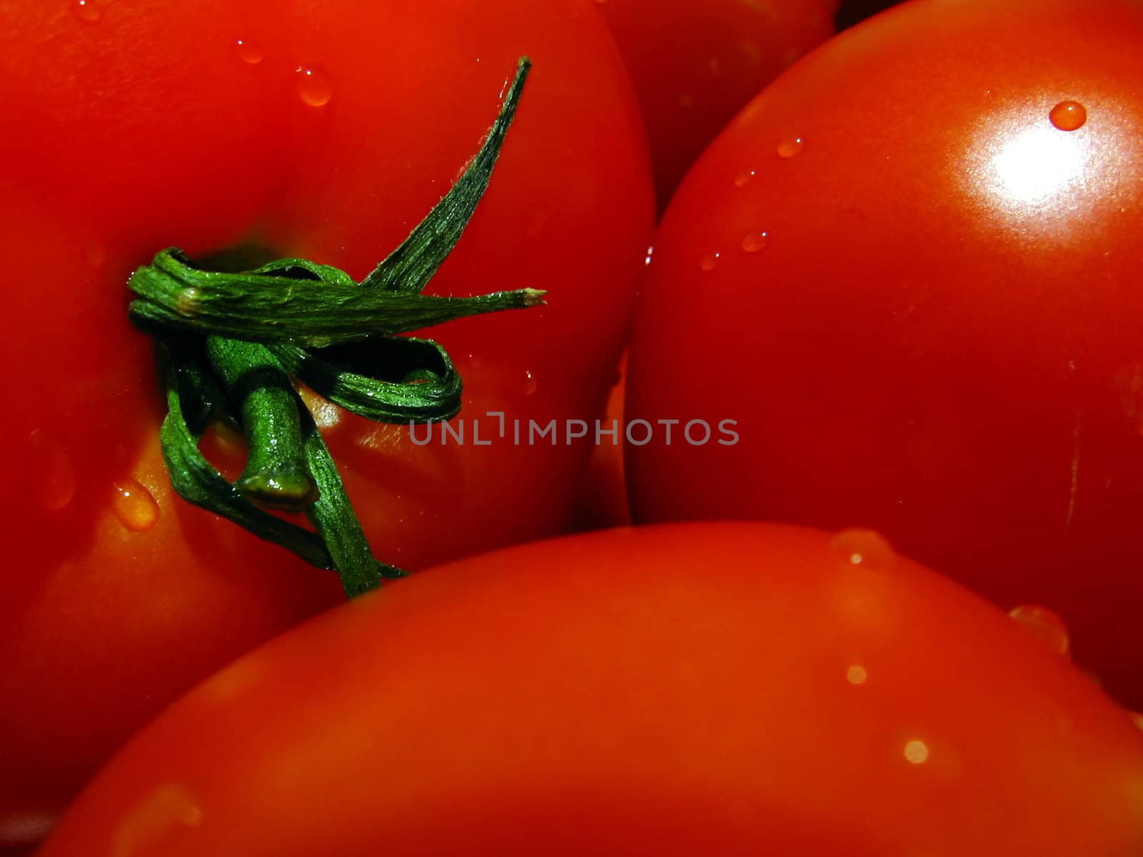 Tomatoes by tomatto