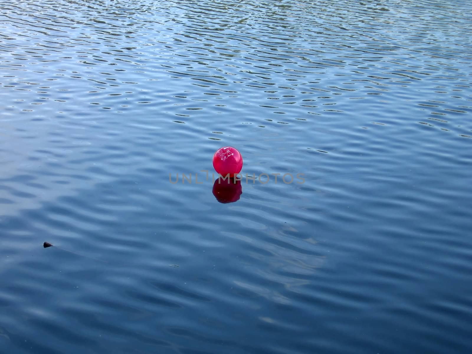 Red cute ball is on the pond water near Moscow