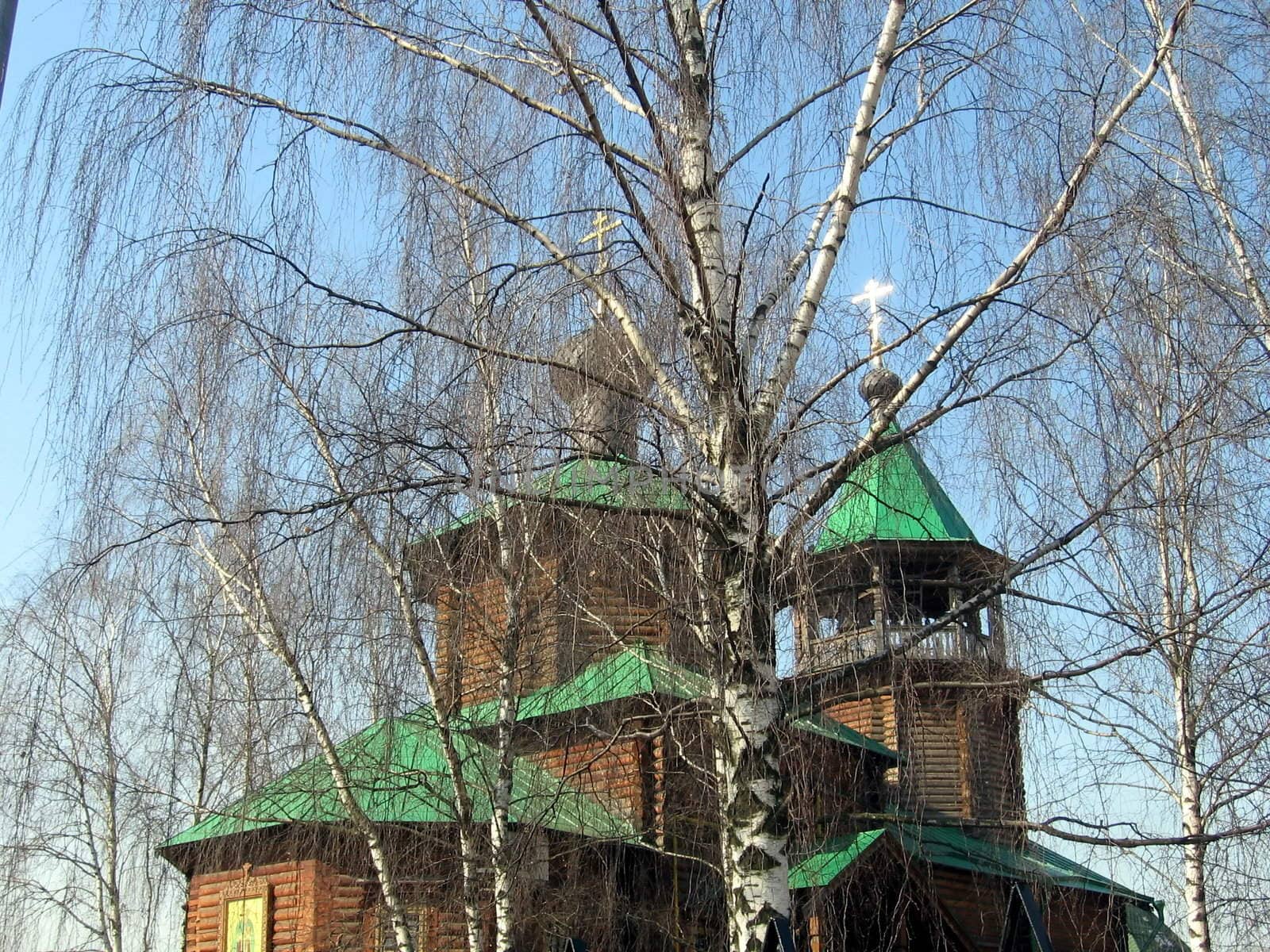 Big birch on a background of orthodox church
