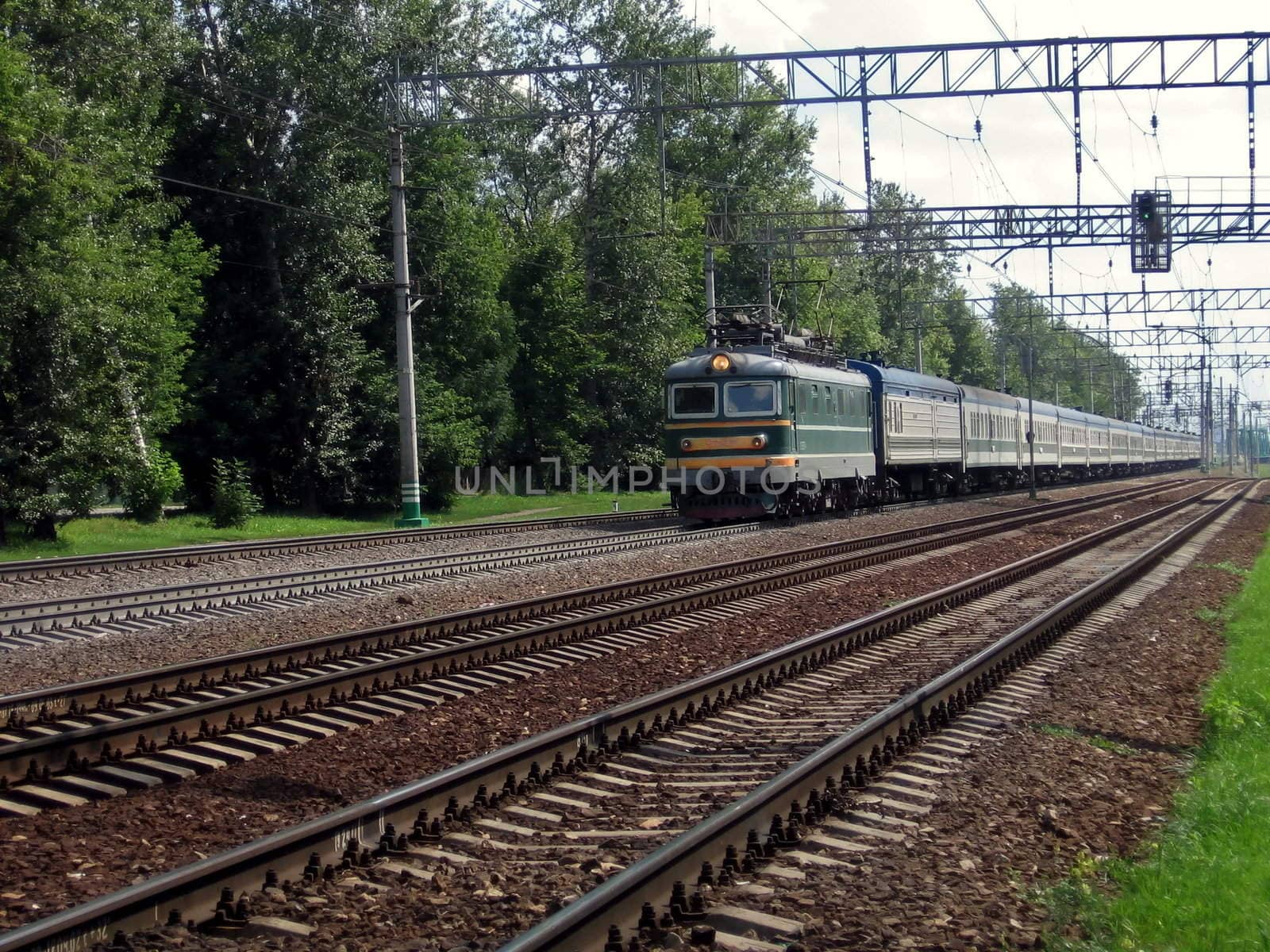 Long green train moves through wood on rails