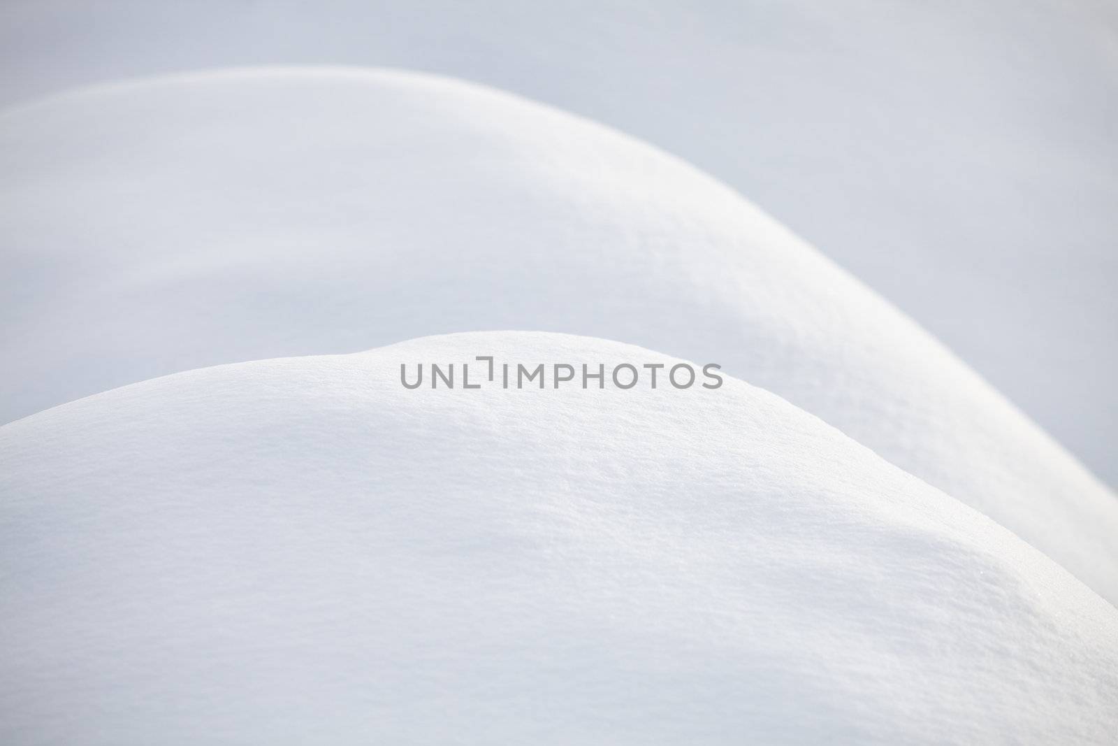 curves in the fresh snow