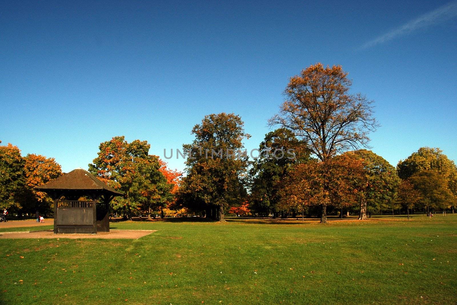 autumn london park with bower, grass, and blue sky