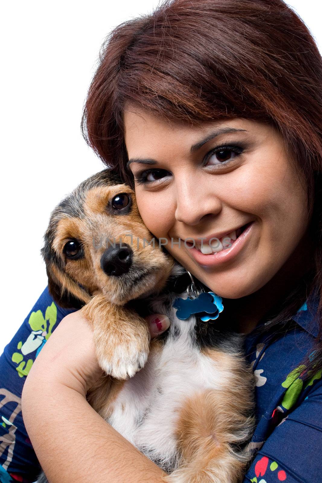 A young woman cuddling with a cute mixed breed puppy isolated on a white background. The dog is half beagle and half yorkie terrier.
