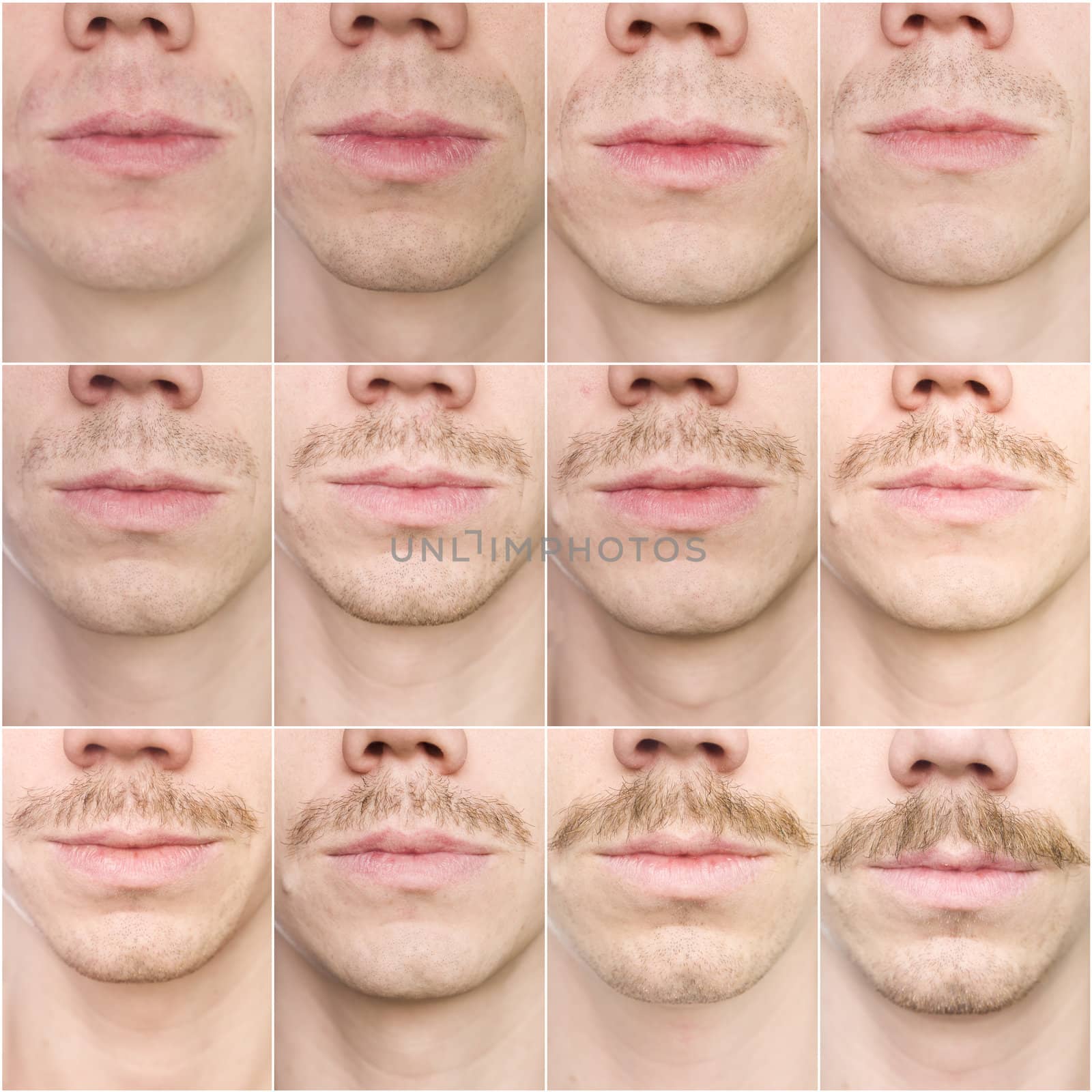 Mustache growing by gemenacom