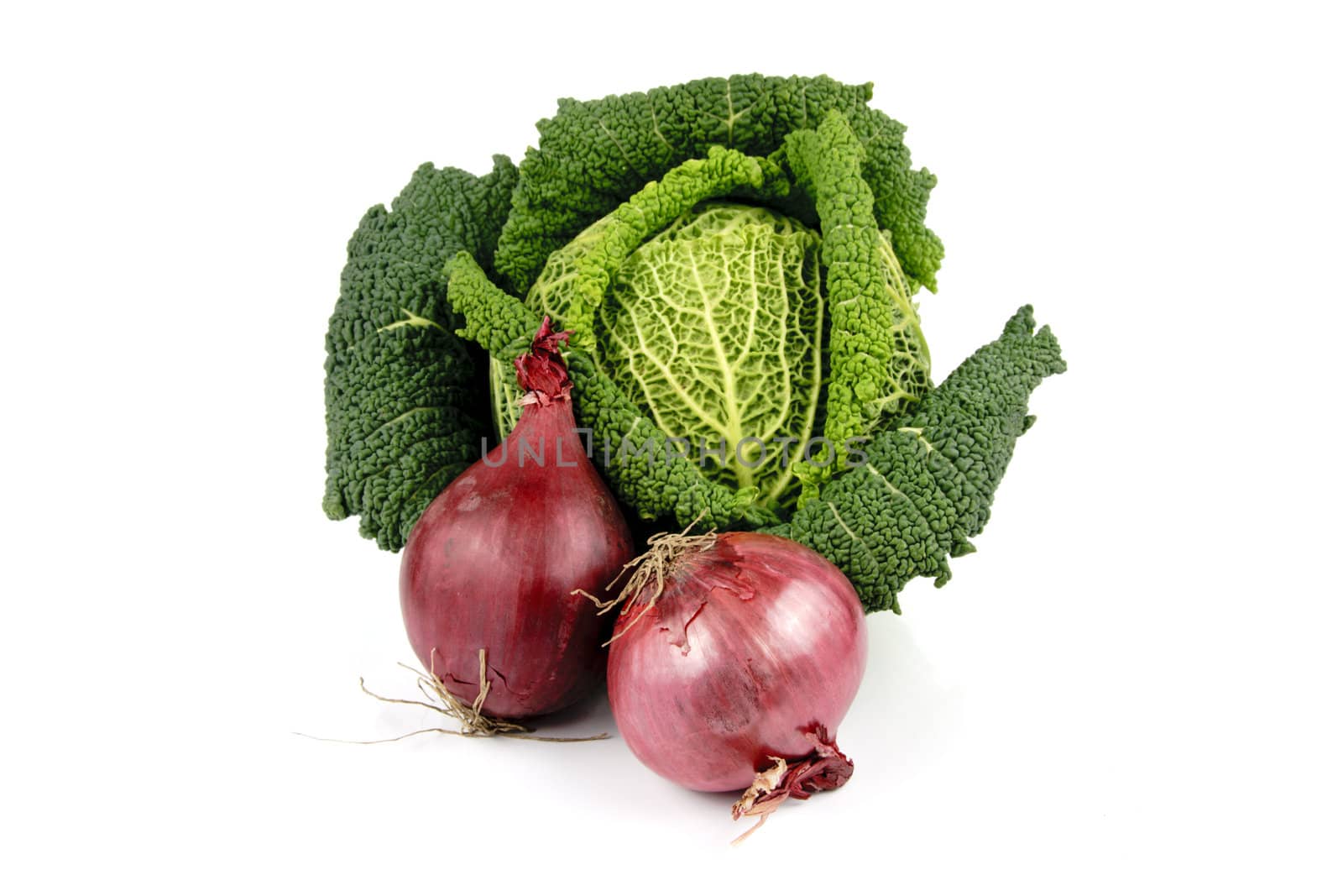 Single green cabbage with two raw red onions on a reflective white background