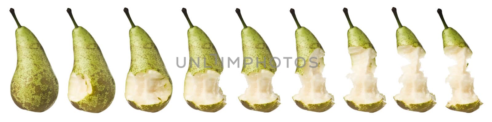 Pear in progrss isolated on white background